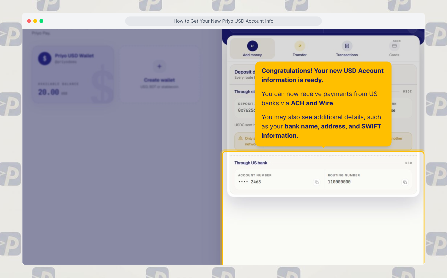 USD Account Information